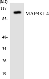 MAP3KL4 Cell Based ELISA Kit (A103641-96)