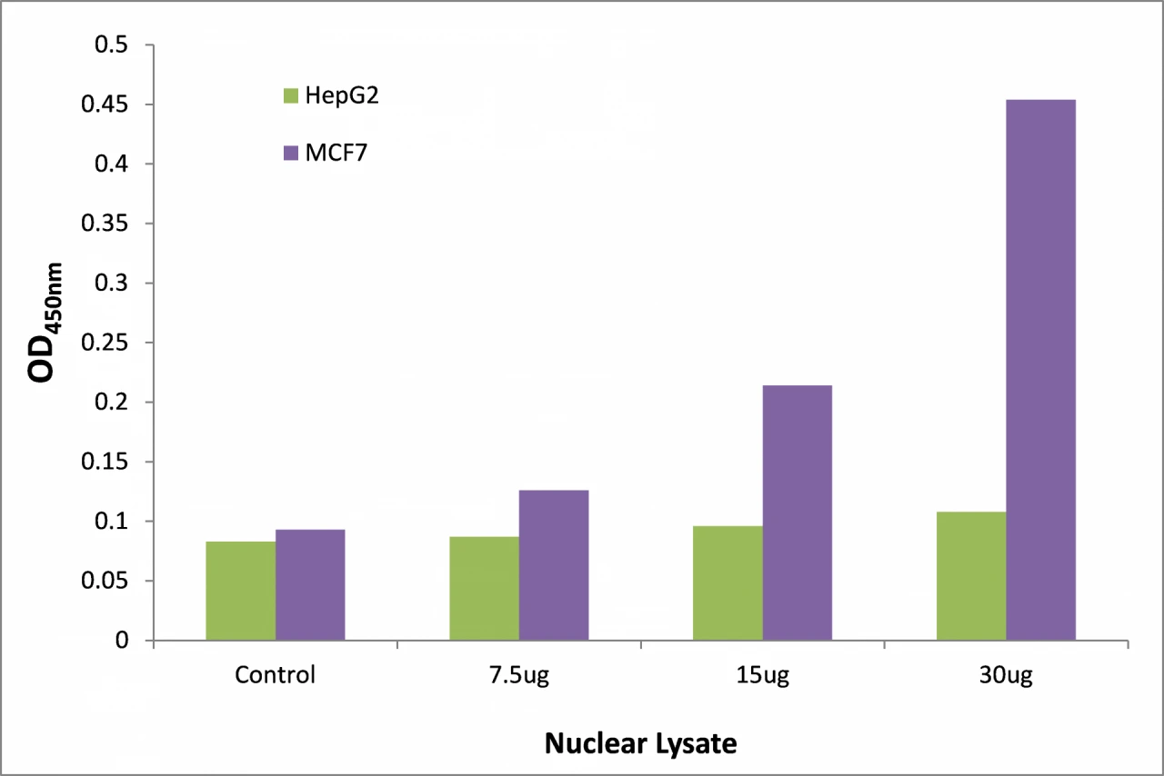 KLF10 + 11 ELISA Kit (A104193-96)