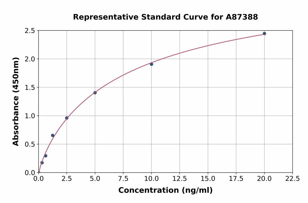 Human SAT1 ELISA Kit (A87388-96)