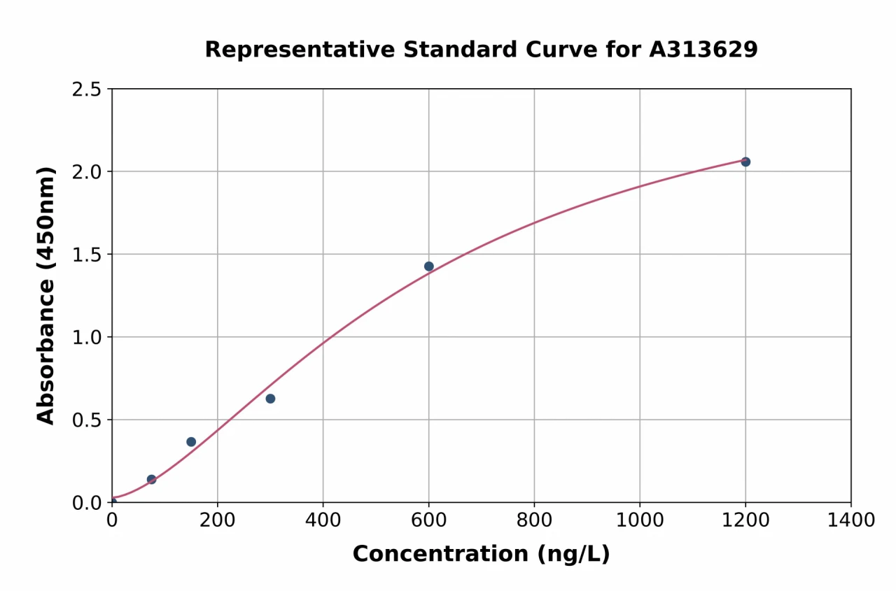 Human IER5 ELISA Kit (A313629-96)