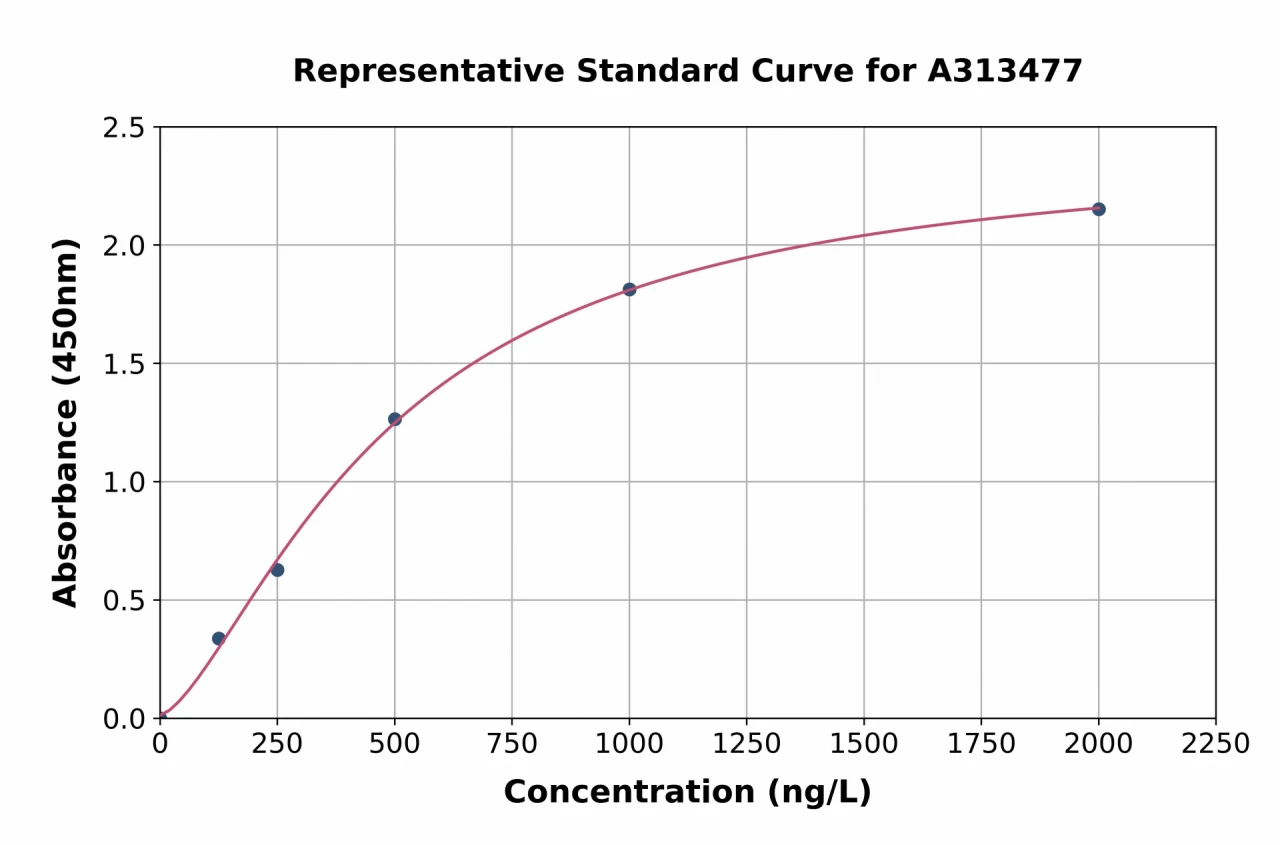 Human Nav1.6 / SCN8A ELISA Kit (A313477-96)