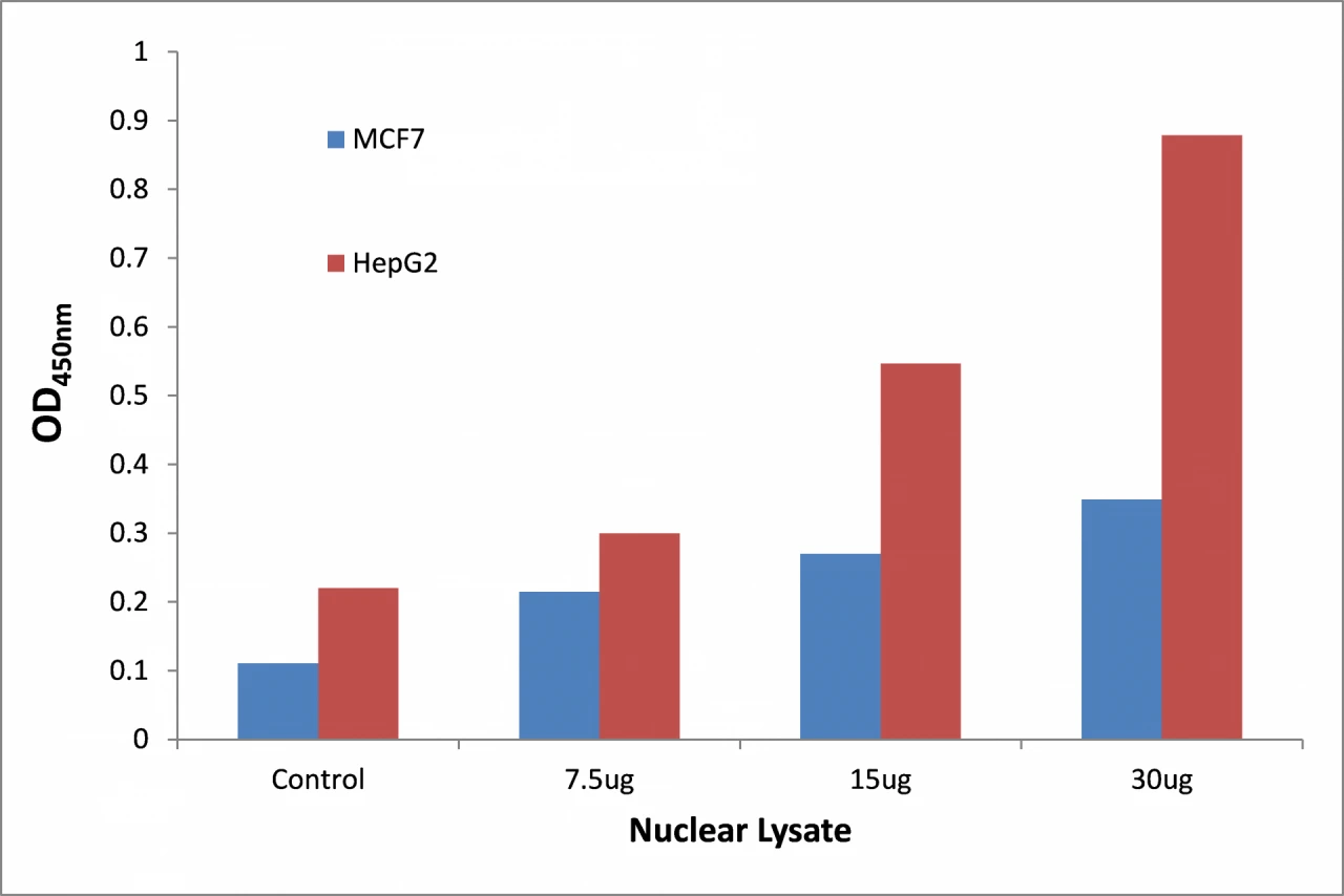 p53 (Acetyl-Lys317) ELISA Kit (A104183-96)