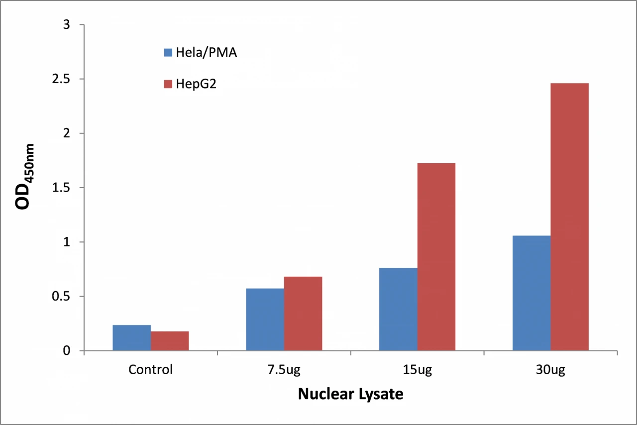 STAT3 ELISA Kit (A104247-96)