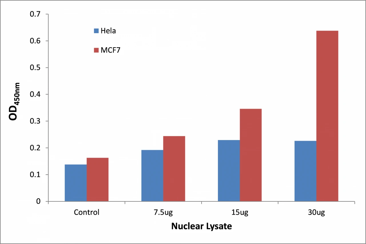 TFE3 ELISA Kit (A104283-96)