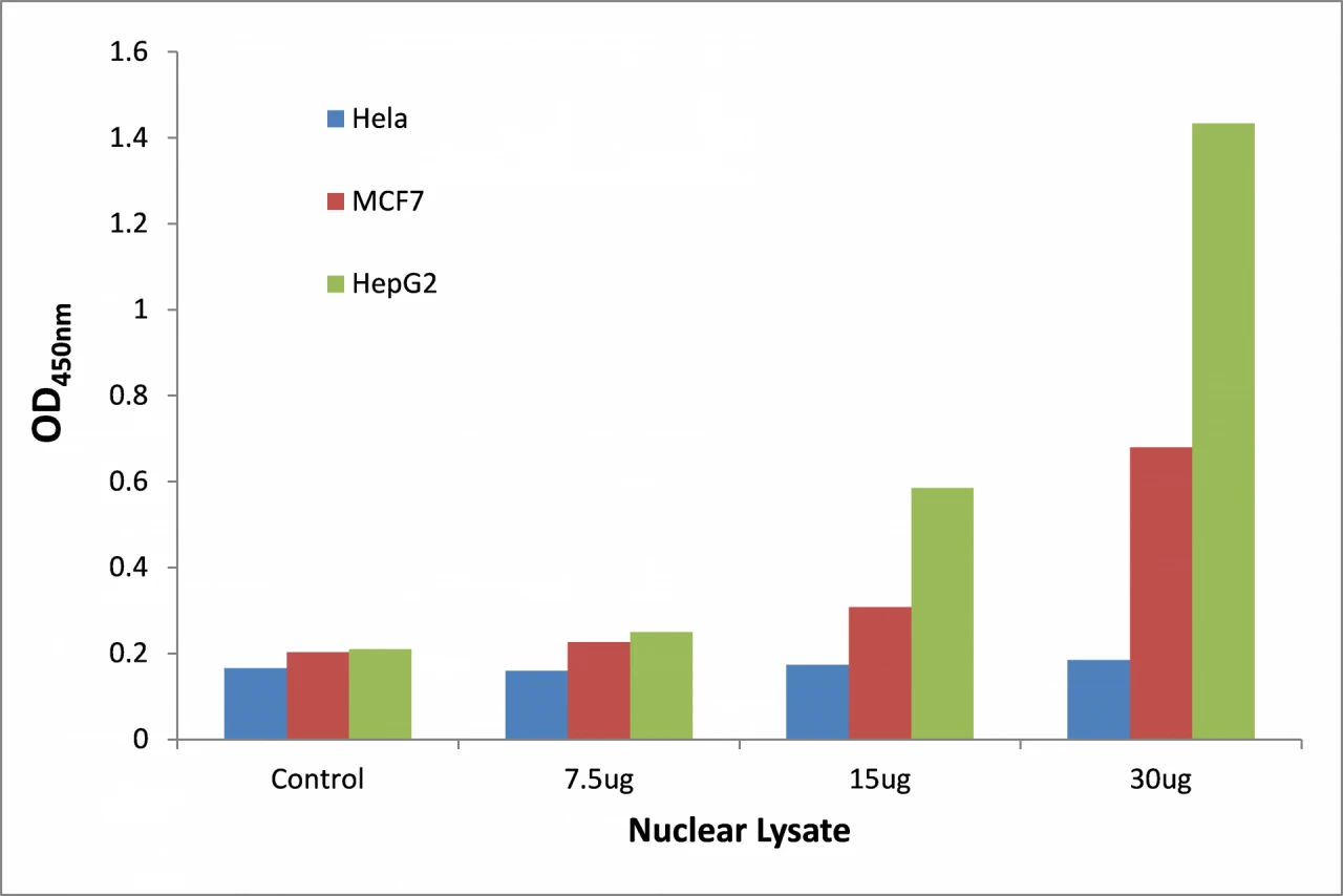 Telomeric Repeat Binding Factor 1 ELISA Kit (A104111-96)