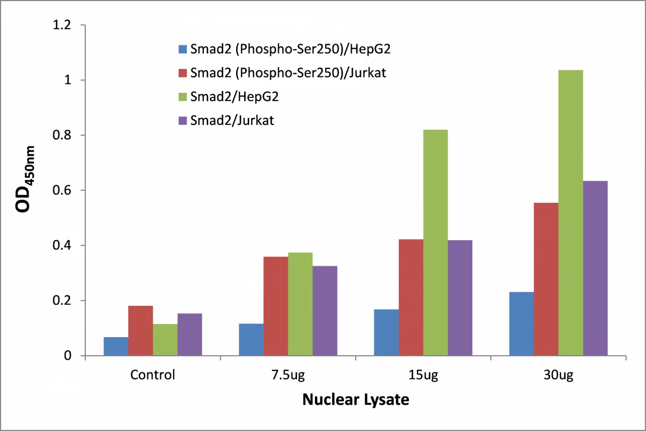 Smad2 (phospho Ser250) ELISA Kit (A104140-96)