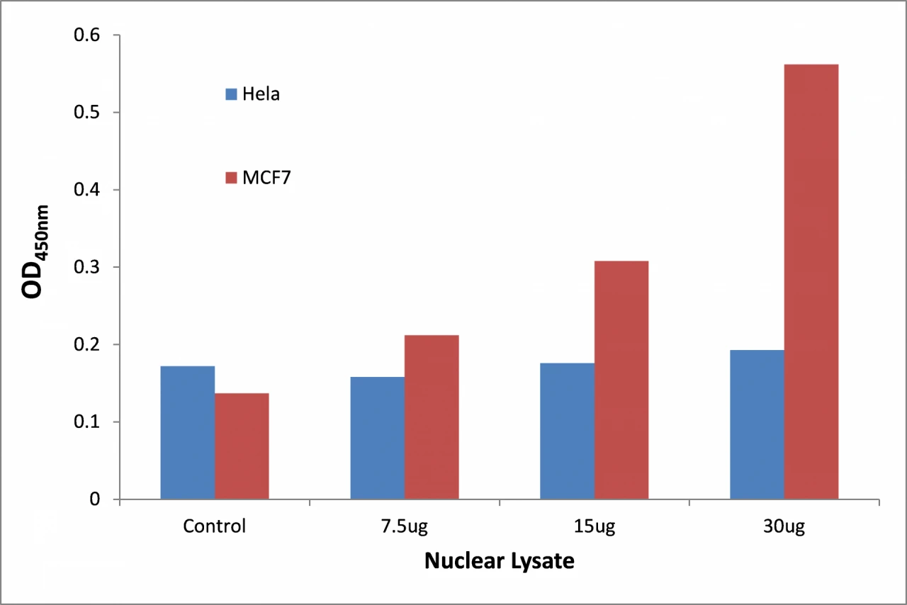 MYSM1 ELISA Kit (A104249-96)