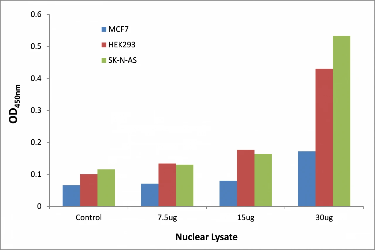 TCFL5 ELISA Kit (A104253-96)