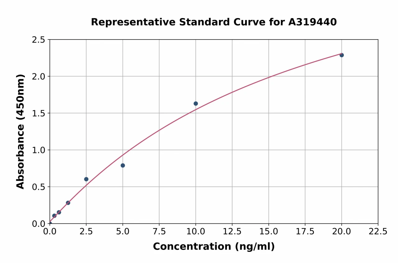 Rabbit Neutrophil Elastase ELISA Kit (A319440-96)