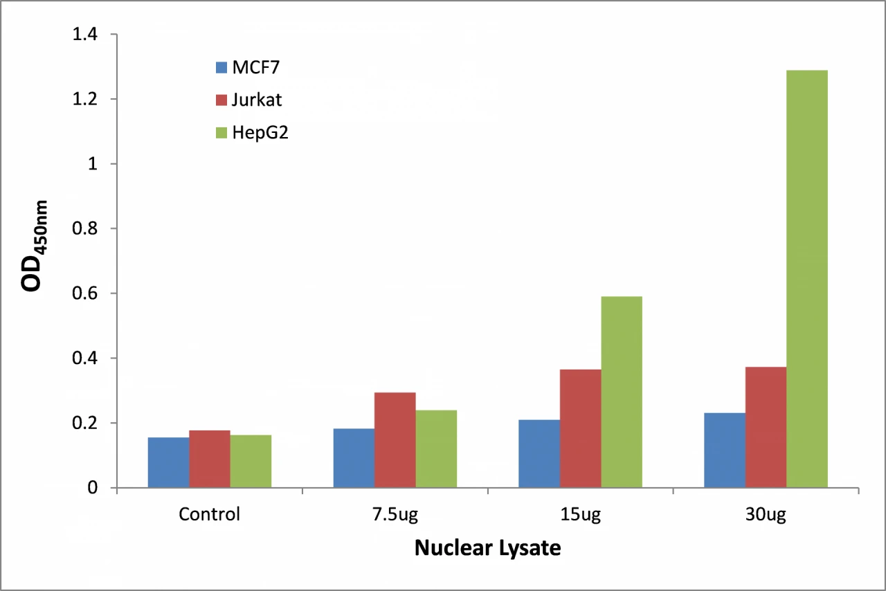 NFAT3 ELISA Kit (A104245-96)