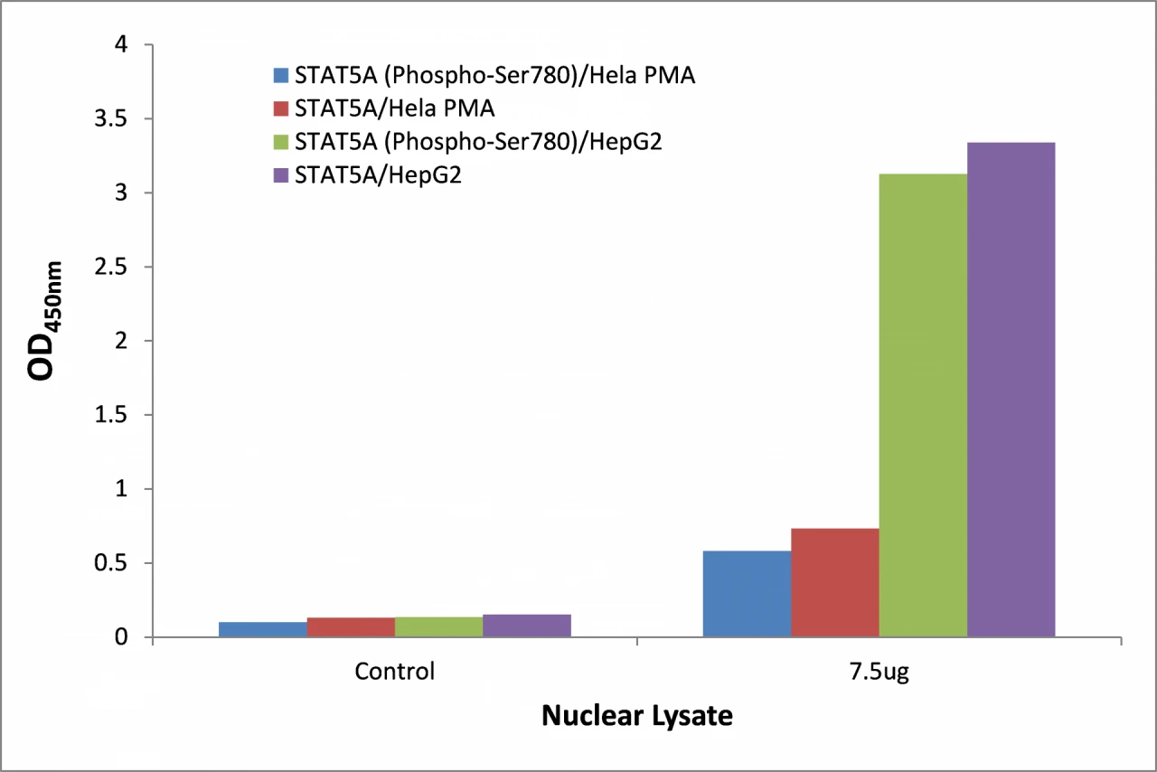 STAT5A (phospho Ser780) ELISA Kit (A104127-96)