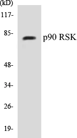 p90RSK Cell Based ELISA Kit (A102989-96)