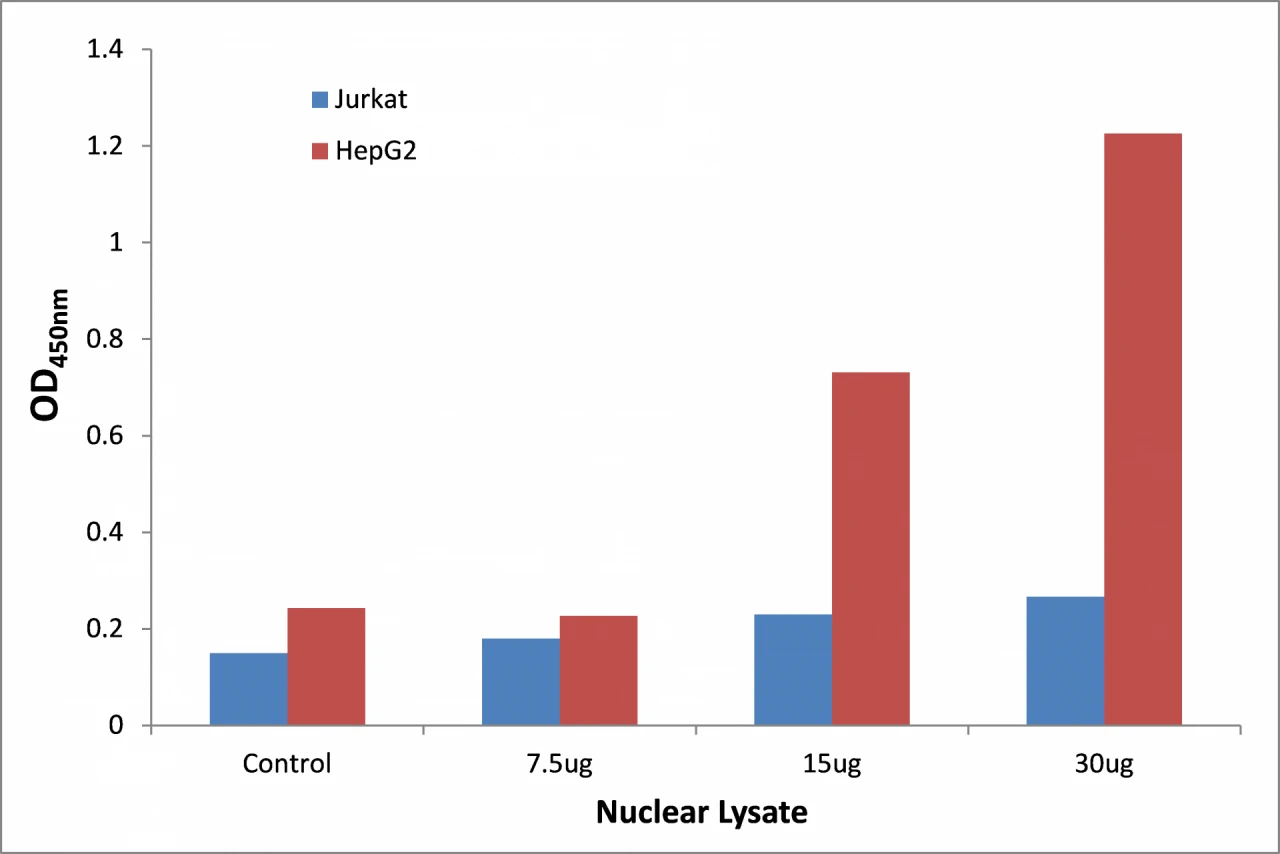 NFYB ELISA Kit (A104284-96)