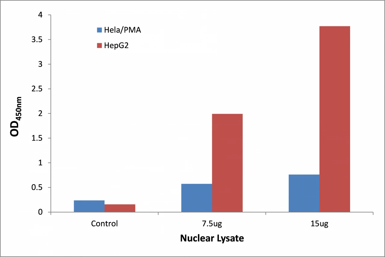 STAT1 ELISA Kit (A104240-96)