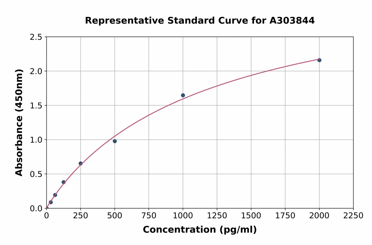 Rabbit Decorin ELISA Kit (A303844-96)