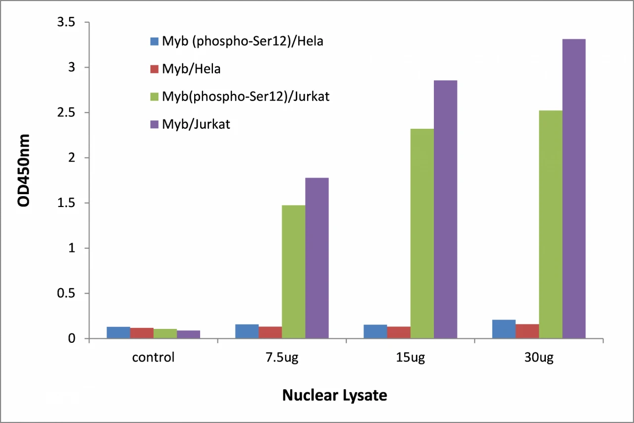 MYB (phospho Ser12) ELISA Kit (A104177-96)