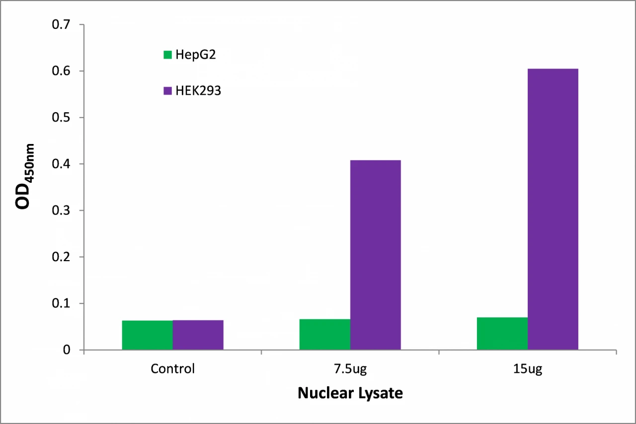 NRL ELISA Kit (A104308-96)