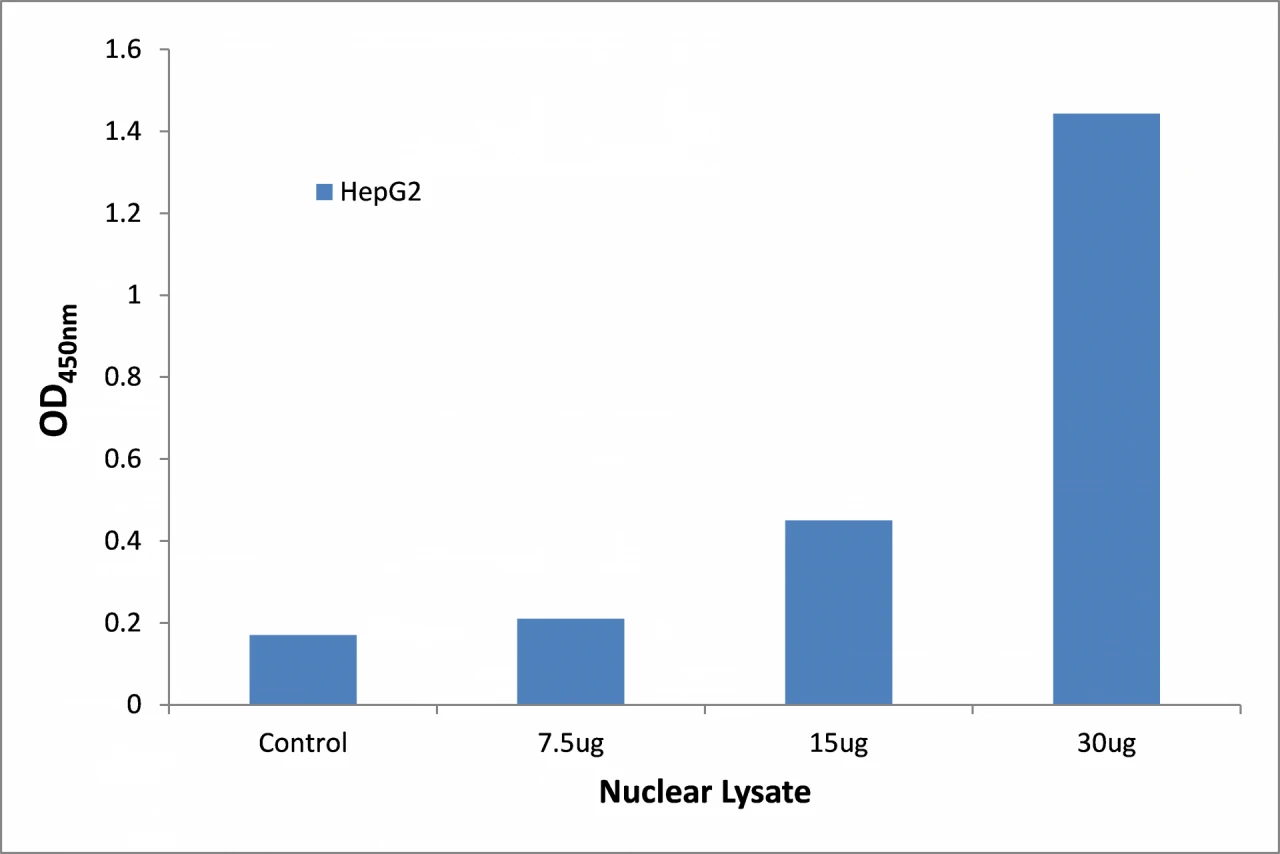 NF-kappaB p65 ELISA Kit (A104188-96)