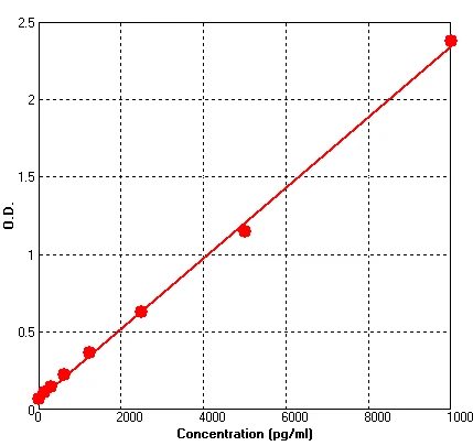 Rat MMP2 ELISA Kit (A664-96)