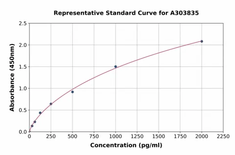 Rat XBP1 ELISA Kit (A303835-96)