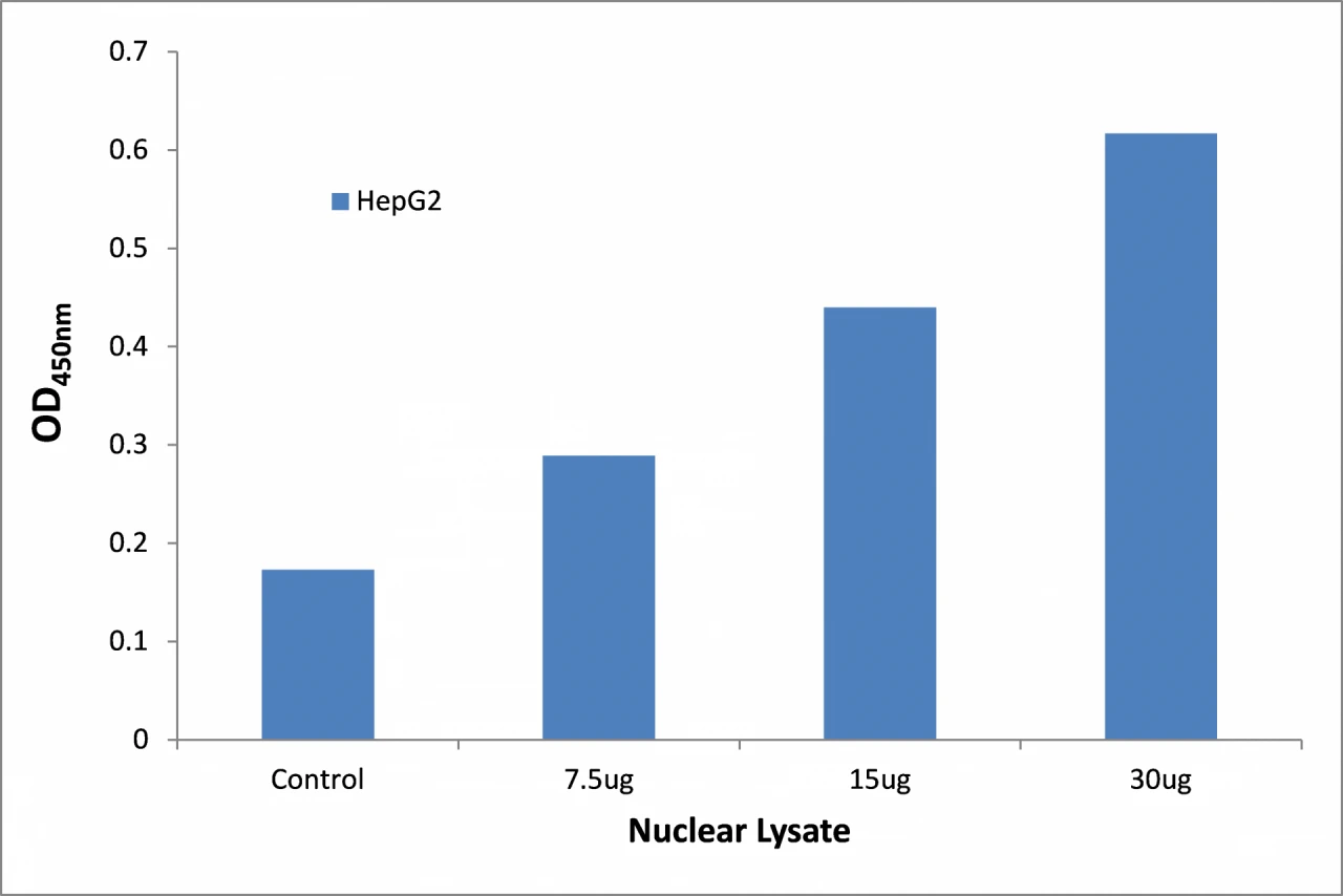 STAT2 ELISA Kit (A104246-96)