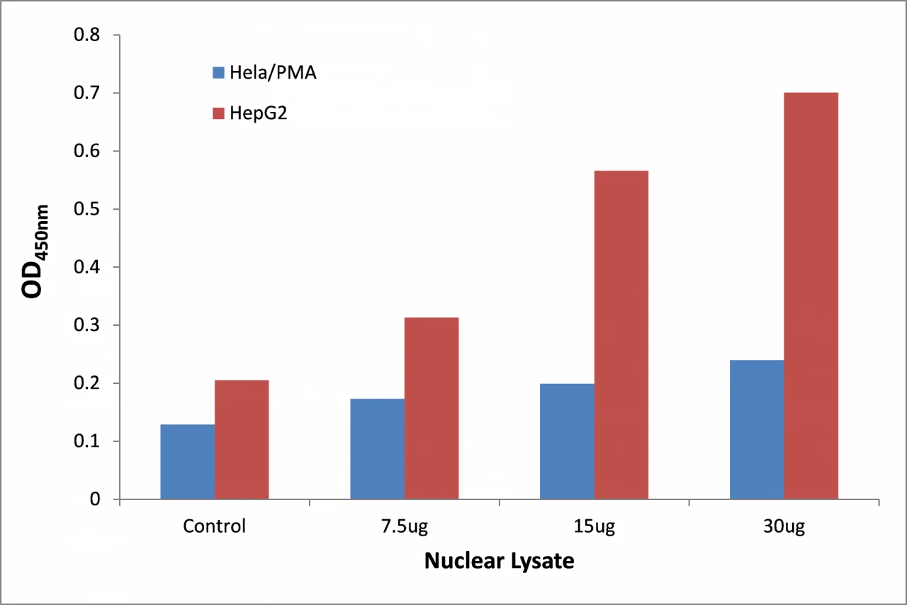 STAT1 (phospho Tyr701) ELISA Kit (A104147-96)