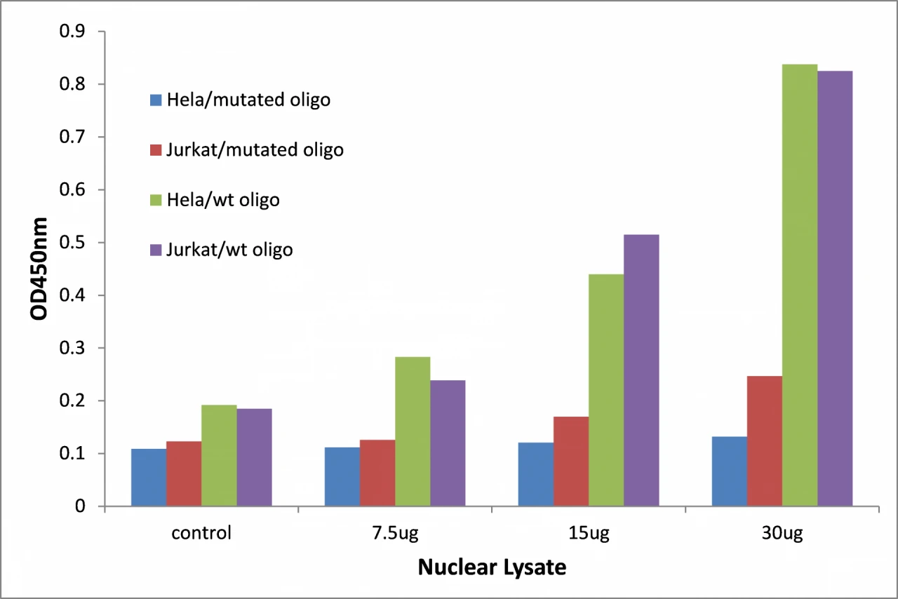 Retinoid X Receptor gamma ELISA Kit (A104125-96)