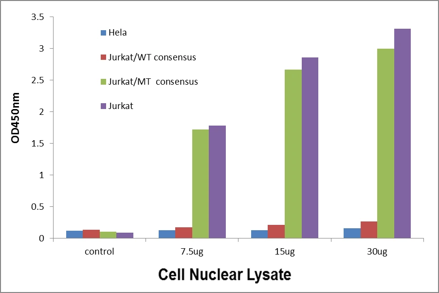 MYB ELISA Kit (A104299-96)